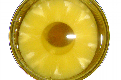 Canned Pineapple Slice